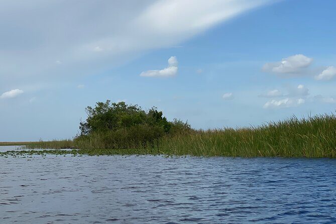 Full Day Combo: Everglades, 90 Min Boat, Double Decker Tour - Final Thoughts