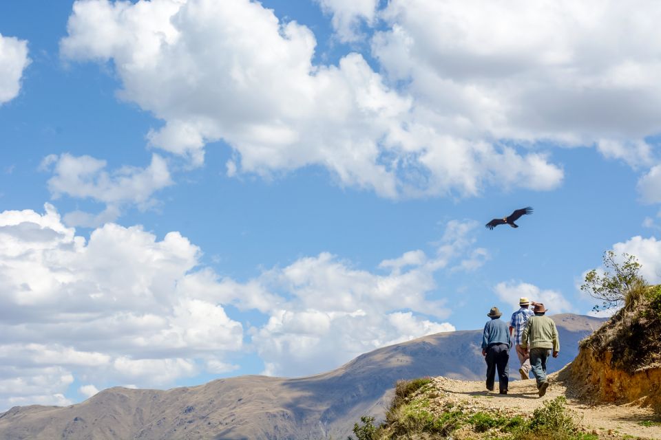 Full-Day Condor Viewpoint & Inca Sites Tour - Tour Experience