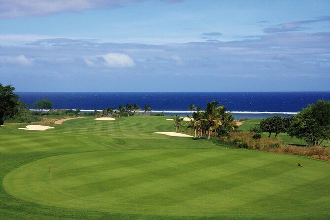 Full-Day Coral Coast Private Guided Tour - Key Points