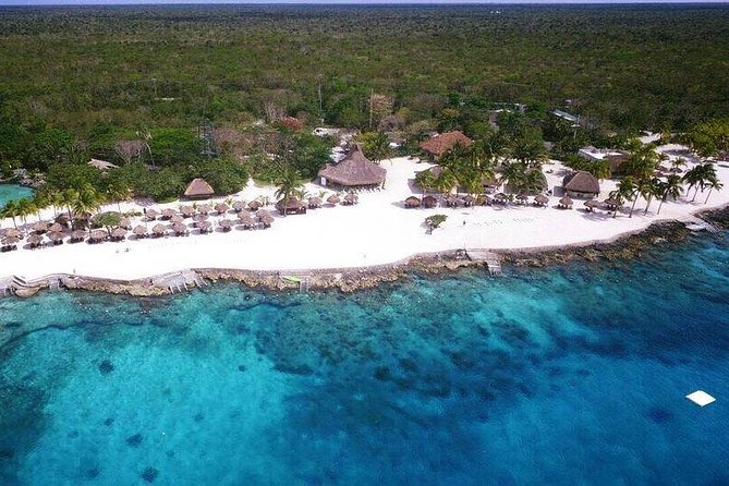 Full Day Cozumel Island Tour With Ferry, Snorkel, Virgin Beach, Buggy and Lunch - Health and Accessibility