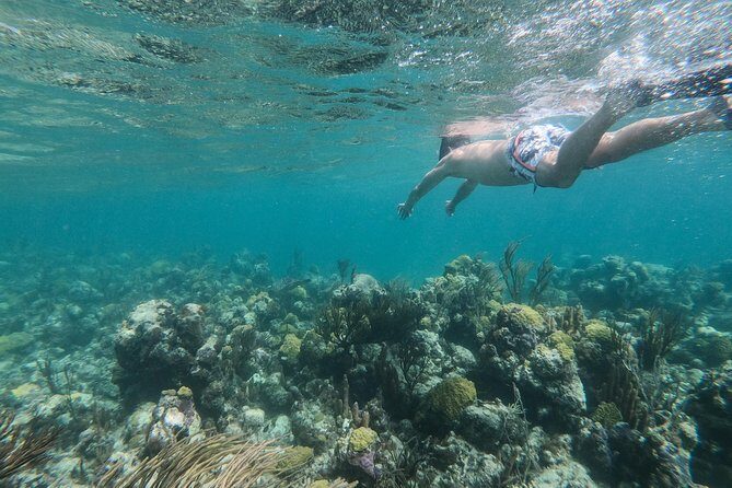 Full Day Cruise from Providenciales with Snorkeling and BBQ Lunch - The Sum Up: Is This Tour Right for You?