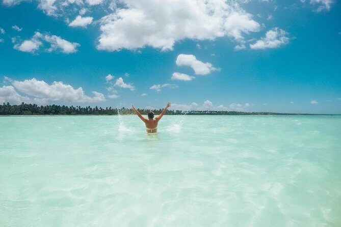 Full-Day Cruise to Saona Island - Natural pool and lunch - Discovering the Full-Day Cruise to Saona Island from Punta Cana