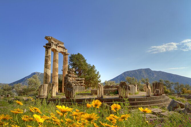 Full-Day Delphi Tour From Athens Review - Tour Company Responses