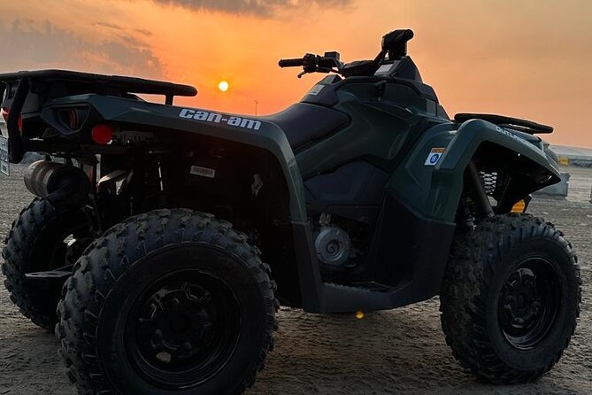 Full Day Desert Safari Doha/Dinner Included - Inclusions