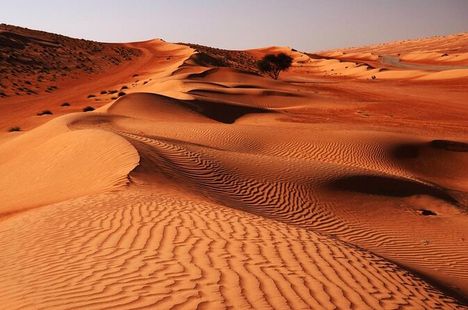 Full-Day Desert Safari Jeep Tour in Ash Sharqiyah Governorate - Key Points