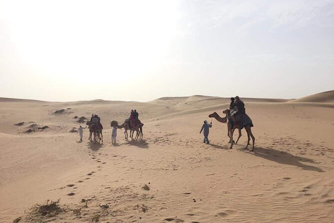 Full-Day Desert Safari Jeep Tour in Ash Sharqiyah Governorate - Tips for Your Safari Experience
