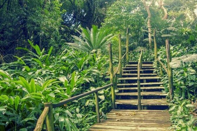 Full Day Discover Nadi Tour ( From Sigatoka Coral coast Hotels ) - Full Day Discover Nadi Tour (From Sigatoka Coral Coast Hotels): A Practical Guide to Fiji’s Cultural and Natural Gems