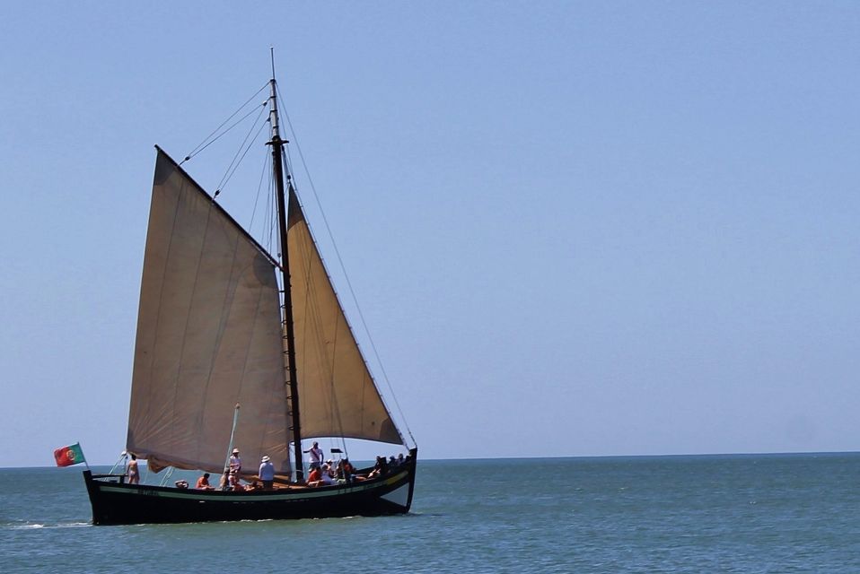 Full-Day Dolphin Watching Tour From Lisbon - Key Points