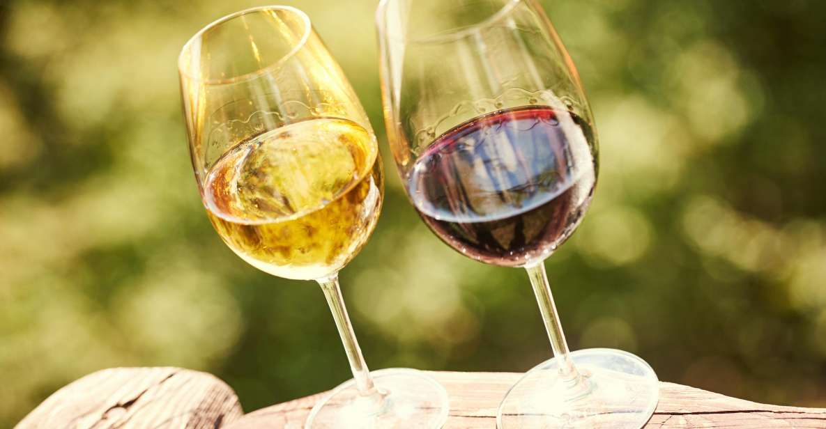 Full-Day Douro Valley Wine Tasting & Lunch & Boat Tour - Key Points