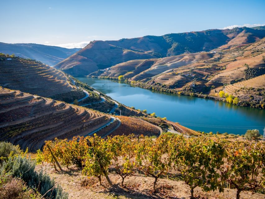 Full-Day Douro Valley Wine Tasting & Lunch & Boat Tour - Pickup and Transport