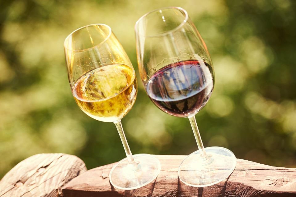 Full-Day Douro Valley Wine Tasting & Lunch & Boat Tour - Peso Da Régua Visits