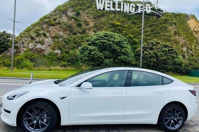 Full-Day Driver with Tesla Car-Customisable North Island Tour - Key Points