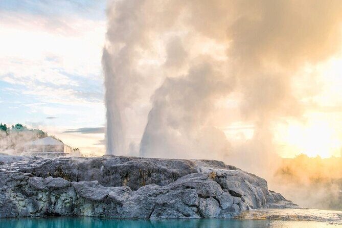 Full-Day Driver with Tesla Car-Customisable North Island Tour - The Value of a Private, Customizable Tour