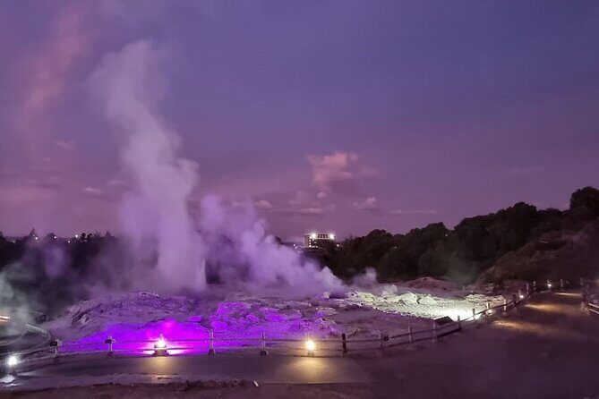 Full-Day Driver with Tesla Car-Customisable North Island Tour - The Sum Up