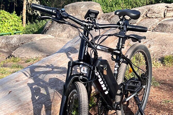 Full Day E-Bike Rental in San Francisco Charger Included! - The Experience: Pros and Cons