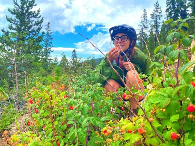 Full Day E-Bike Tour In The Colorado Rockies With Transport - The Ride and Terrain