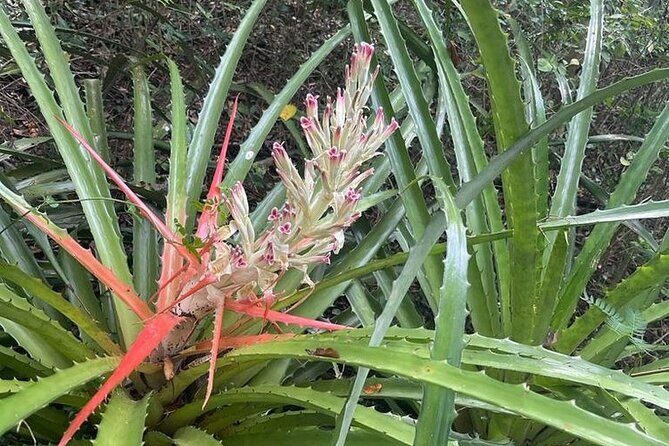 Full Day Eastern Island Tour - Detailed Breakdown of the Itinerary