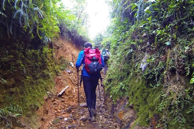 Full-Day Eco Extreme Tour Near Bogota - Transportation and Accessibility