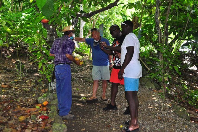 Full Day Eco Safari Adventure and Cultural Tour - The Sum Up