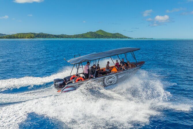 Full Day Eco Snorkeling & Traditional BBQ Lunch on a Motu - An In-Depth Look at the Bora Bora Eco Snorkeling Tour