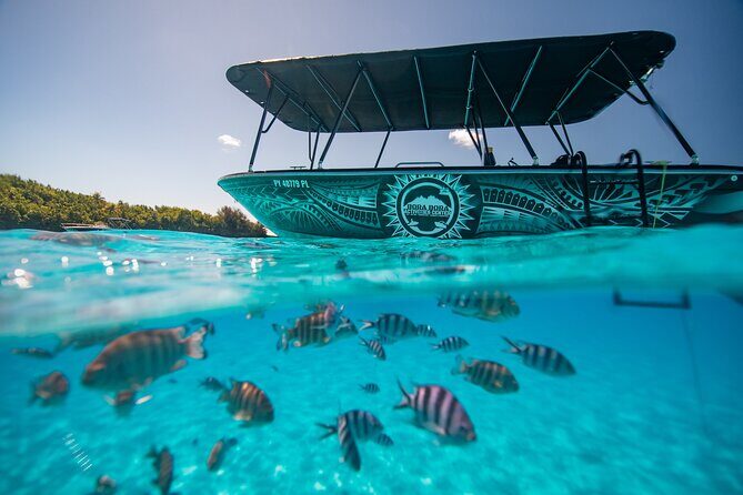 Full Day Eco Snorkeling & Traditional BBQ Lunch on a Motu - Potential Drawbacks and Considerations