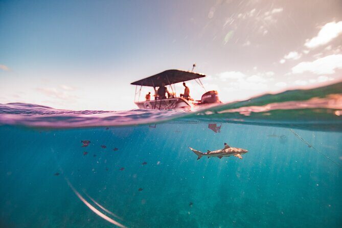 Full Day Eco Snorkeling & Traditional BBQ Lunch on a Motu - Final Thoughts