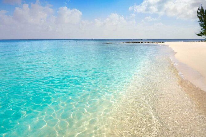 Full-Day El Cielo Snorkel Tour in Cozumel with Transportation and Lunch - Setting Expectations for the Snorkel Tour