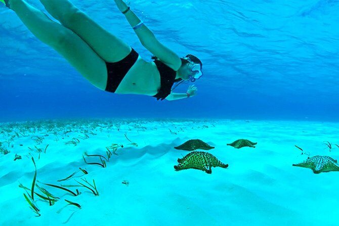 Full-Day El Cielo Snorkel Tour in Cozumel with Transportation and Lunch - The Practical Side: Transport, Equipment, and Cost