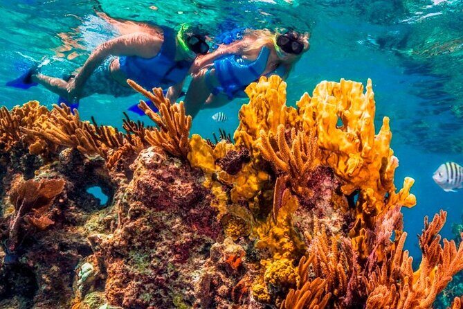 Full-Day El Cielo Snorkel Tour in Cozumel with Transportation and Lunch - Final Summary