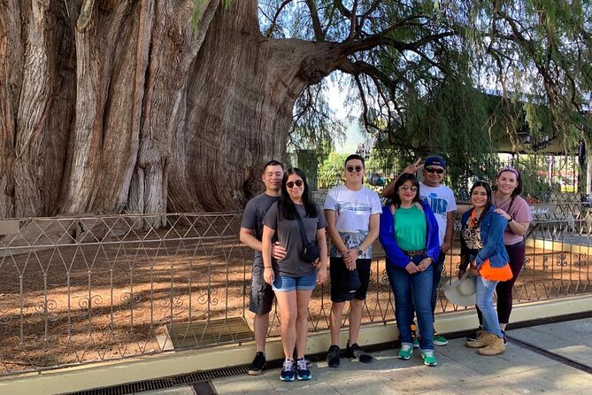 Full-Day El Tule, Mitla & Hierve El Agua Tour From Oaxaca - Textile Dyeing and Mezcal Tasting