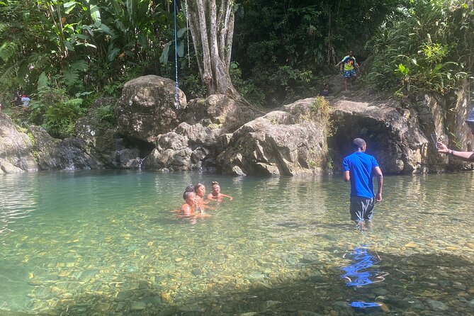 Full-Day El Yunque and Old San Juan Tour With Transport - Pickup Details