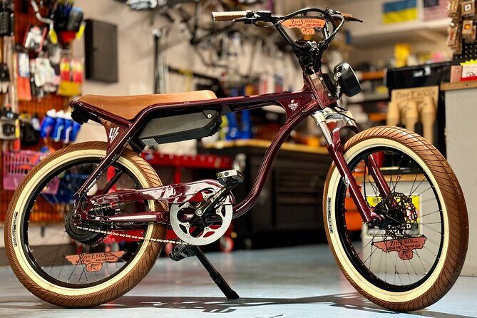 Full Day Electric Bike Rental in Galveston Texas - Why Consider a Full-Day Electric Bike Rental in Galveston?