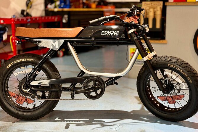 Full Day Electric Bike Rental in Galveston Texas - The Experience from Reviews and Details