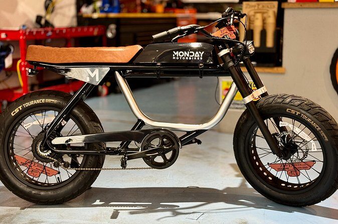 Full Day Electric Bike Rental in Galveston Texas - Final Thoughts