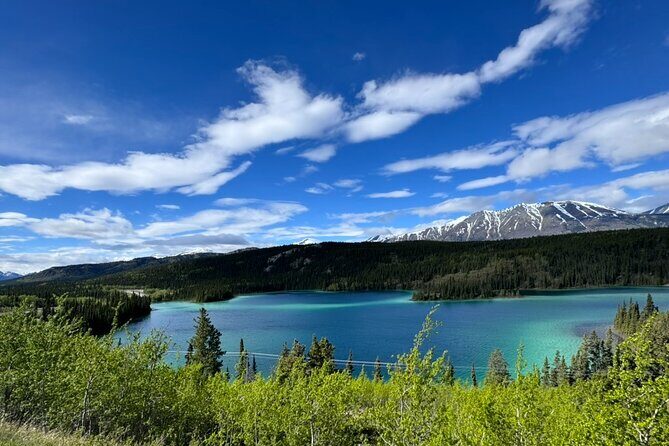 Full Day Emerald Lake Tour with or without Huskies - The Yukon Suspension Bridge: A Must-See Viewpoint