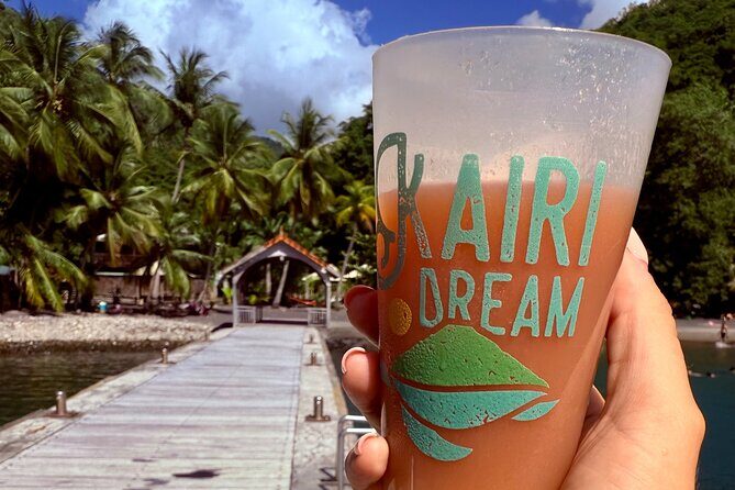 Full day EN Catamaran Martinique Dolphins and Turtles - The Itinerary in Detail