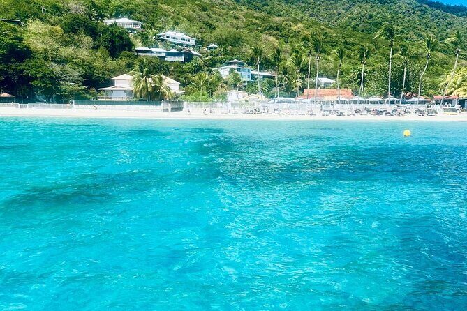 Full day EN Catamaran Martinique Dolphins and Turtles - Who Would Enjoy This Tour?