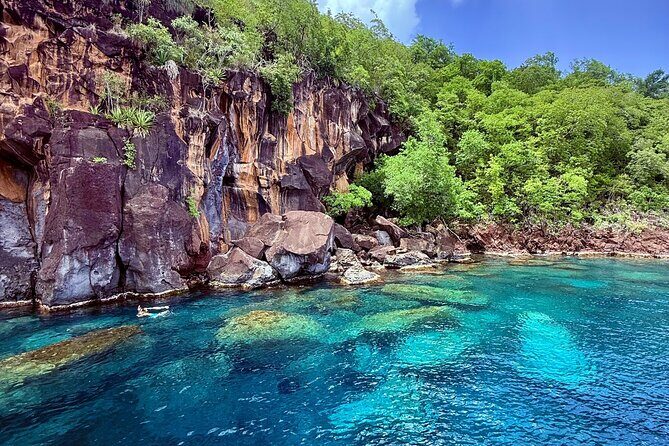 Full day EN Catamaran Martinique Dolphins and Turtles - Final Thoughts