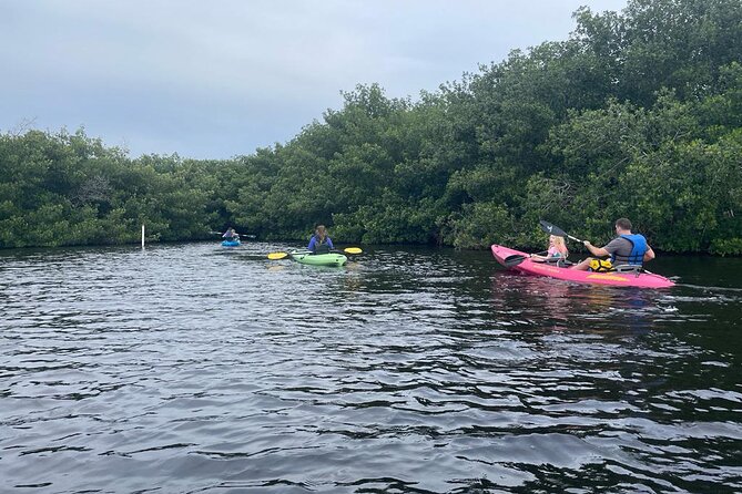 Full Day Everglades Combo Motorboat Eco and Kayak Tour - Accessibility