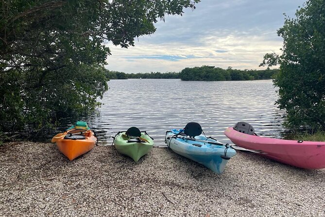 Full Day Everglades Combo Motorboat Eco and Kayak Tour - Experience Highlights