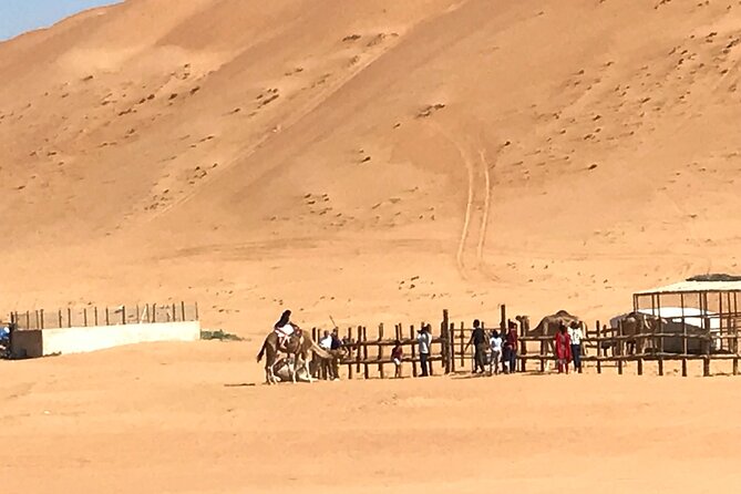 Full Day Excursion Bedouin Way Wahiba Sands & Wadi Bani Khalid By 4wd - Tour Overview