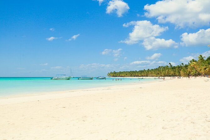 Full Day Excursion to Isla Saona from Santo Domingo - Analyzing the Value
