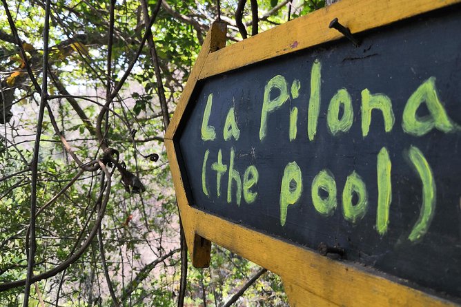 Full-Day Experience in Banderas Bay - Activities and Customization