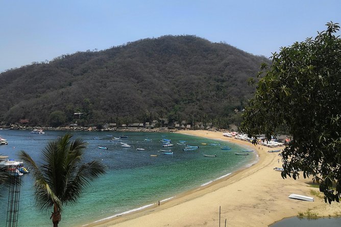 Full-Day Experience in Banderas Bay - Meeting Point and Start Time