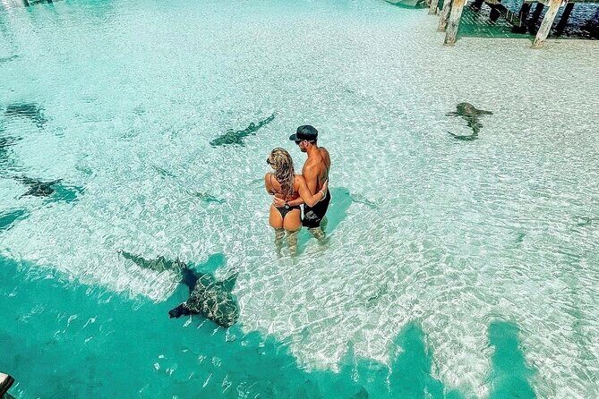 Full Day Exuma Swimming Pigs - Group Boat Tour From Nassau - Who Will Enjoy This Tour?