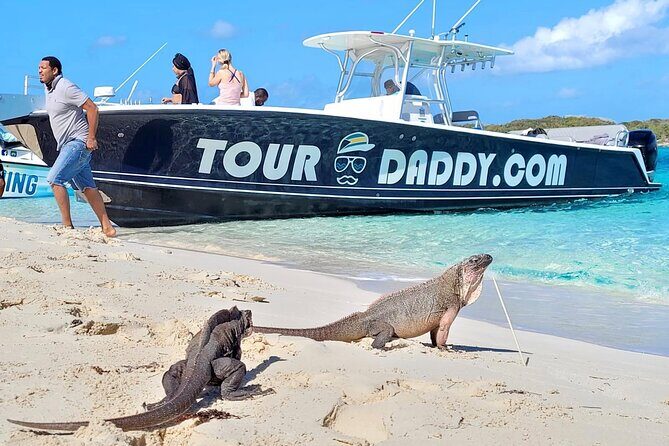 Full Day Exuma Swimming Pigs - Group Boat Tour From Nassau - FAQ