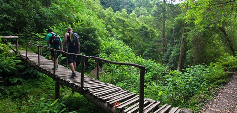 Full-Day Faial Da Terra + Nordeste From Ponta Delgada - Hike to Salto Do Prego Waterfall