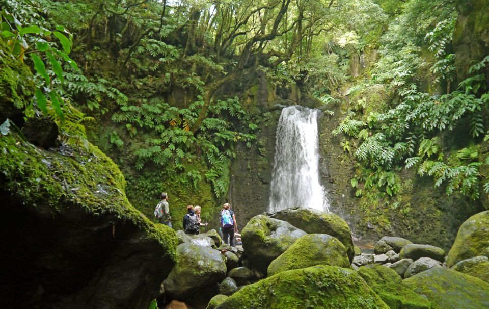 Full-Day Faial Da Terra + Nordeste From Ponta Delgada - Important Considerations