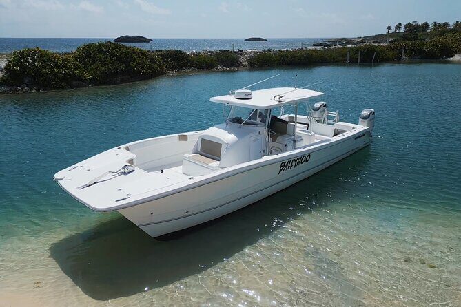 Full-Day Fishing Charter in East Coast, Puerto Rico - Setting the Scene: What to Expect from the Tour