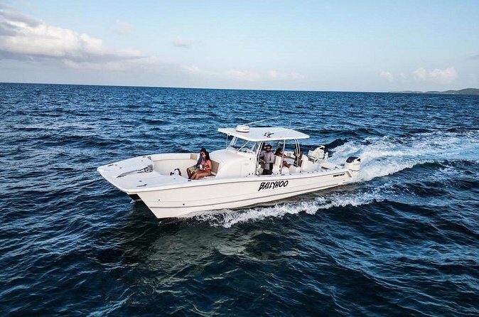 Full-Day Fishing Charter in East Coast, Puerto Rico - In The Sum Up